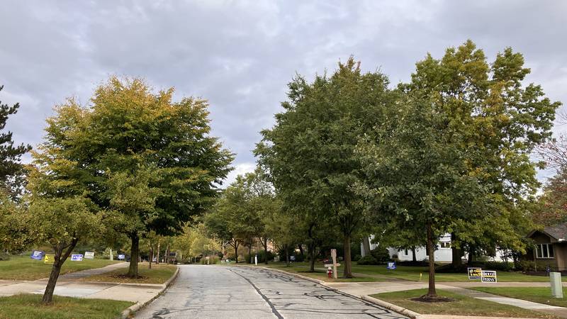 Beachwood Council looking to light up the city's beautiful, tree-lined residential streets...